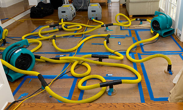 Professional Crawl Space Water Removal technician working in Elco, PA